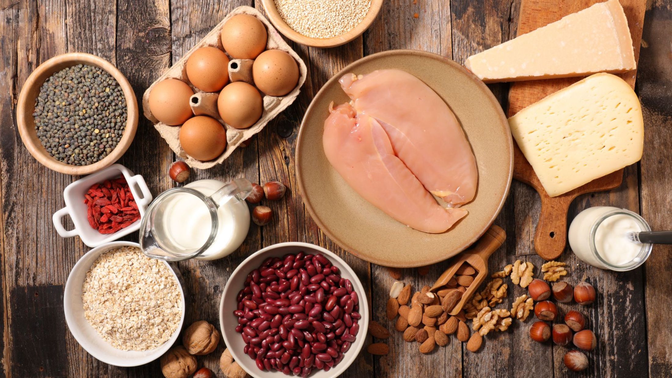Proteins: Your way to building a strong body