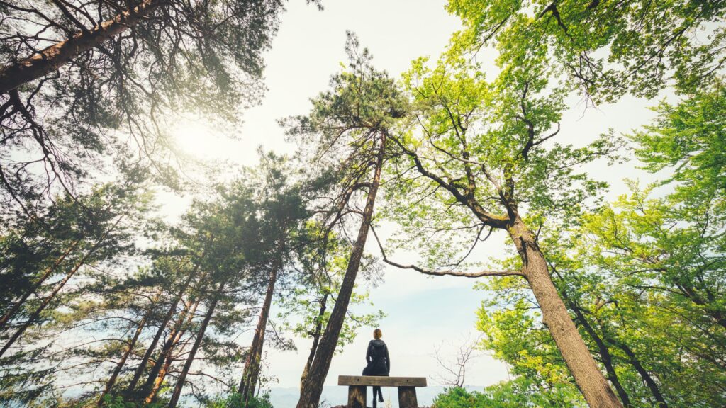 Mindfulness helps maintain healthy eating habits while traveling