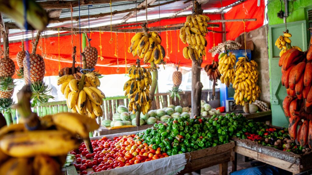 shop in local stores to maintain  healthy eating habits while traveling