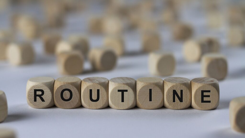 Stick to a routine to maintain healthy eating habits while traveling